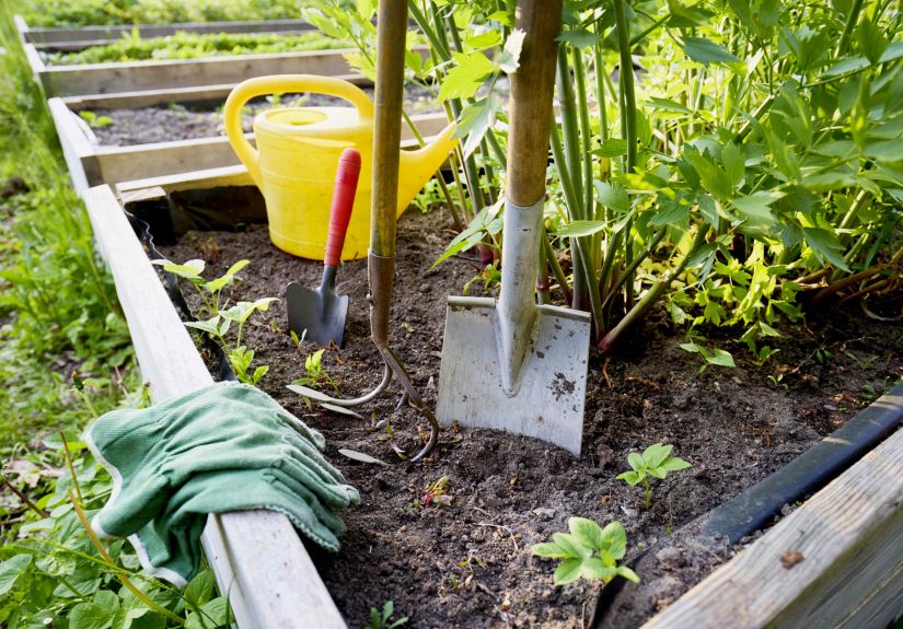 10 Gardening Tools Gardeners Never BuyAnd What They Use Instead