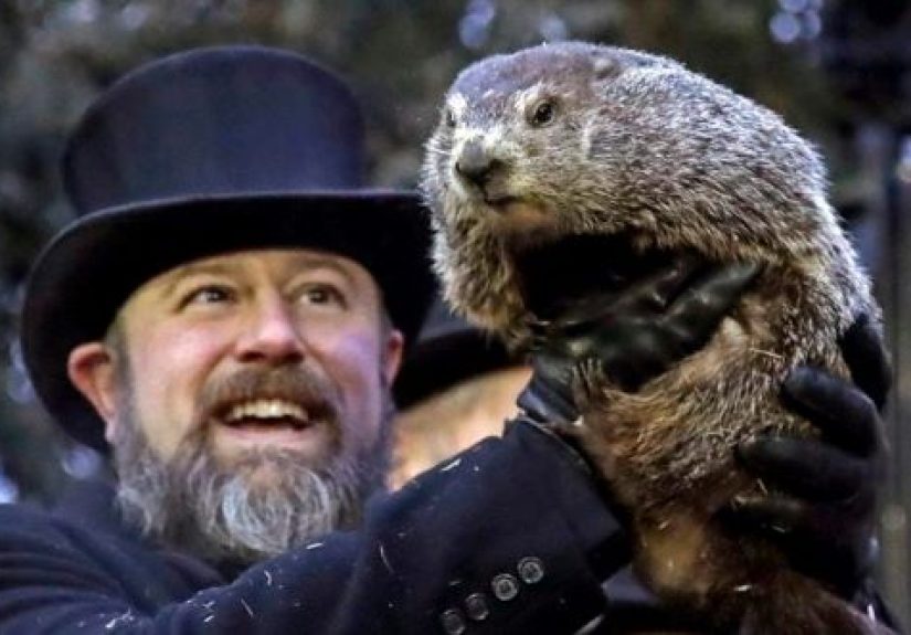 10 Weather-Forecasting Rodents Not Named Punxsutawney Phil