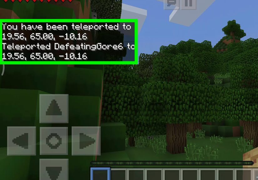 3 Ways to Find Your Coordinates in Minecraft