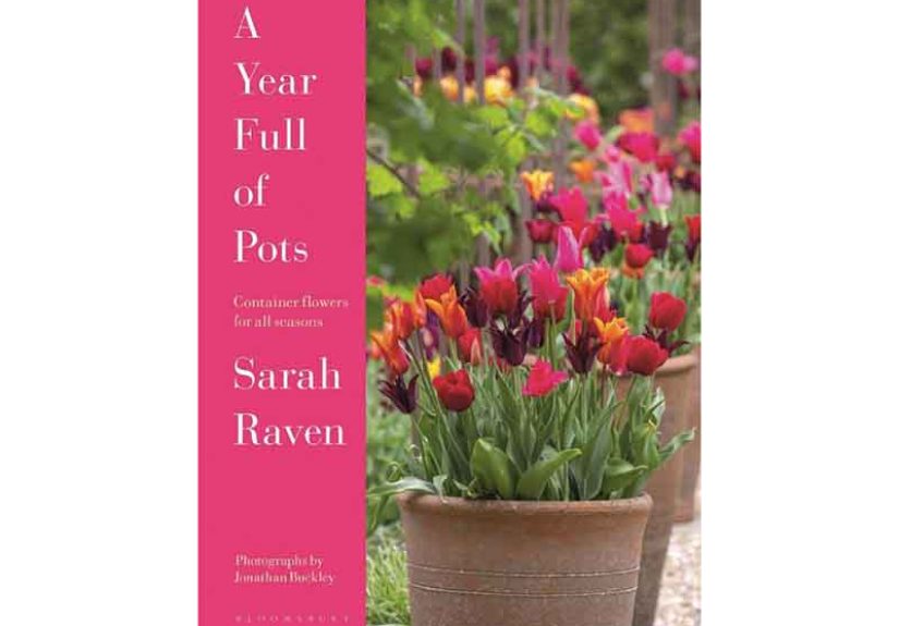 A Year Full of Pots: Container Flowers for All Seasons