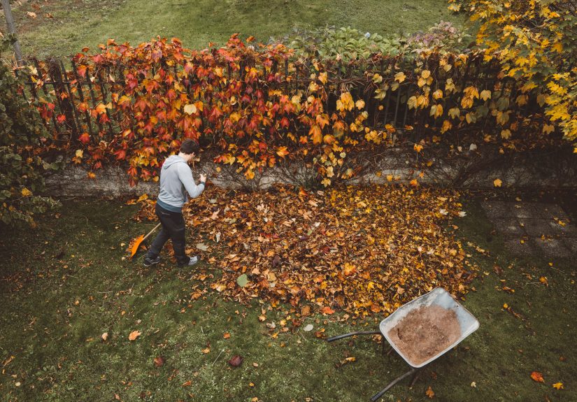 Avoid These 4 Leaf-Raking Mistakes That Drive Neighbors Crazy