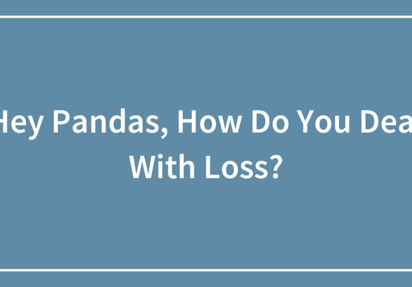 Hey Pandas, How Do You Deal With Loss?