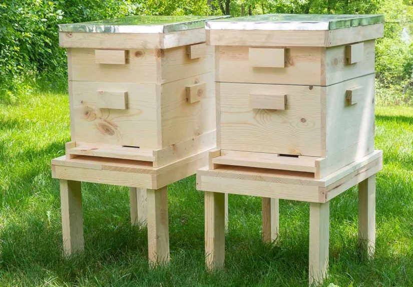 How to Build a Beehive (DIY)