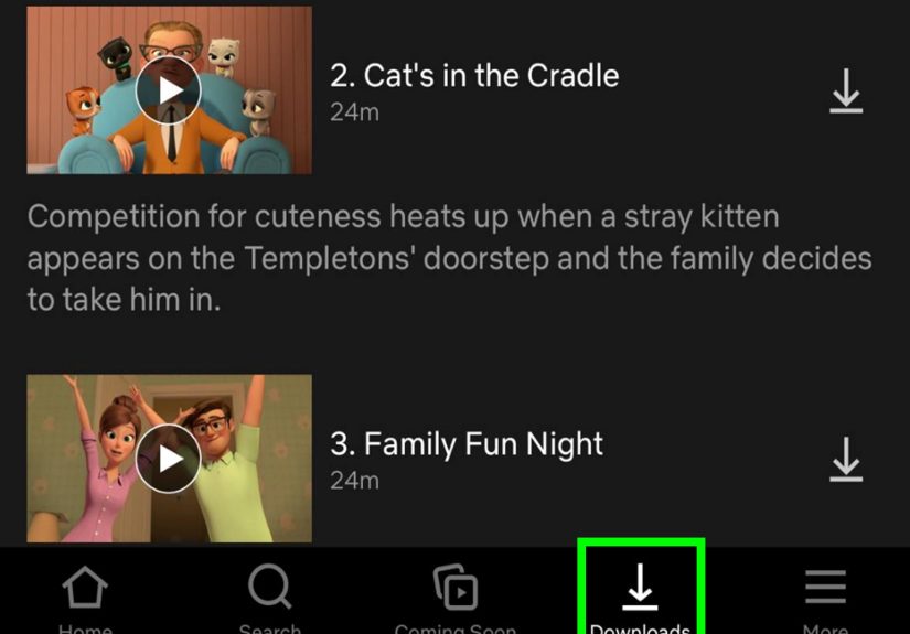 How to Download Movies and TV Shows to Your iPad for No WiFi