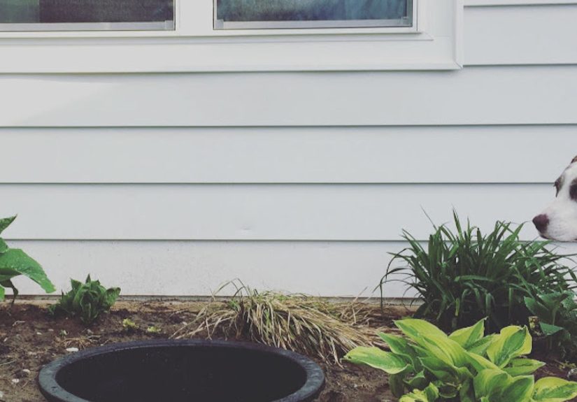 One of the Easiest (and Coolest) DIY Water Features