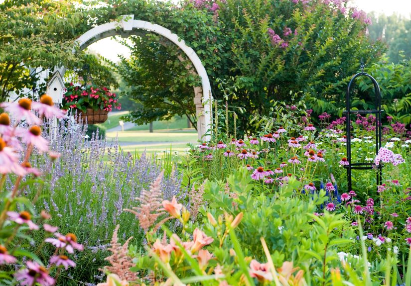 Our Season-by-Season Guide to Perennial Flowers that Come Back Every Year