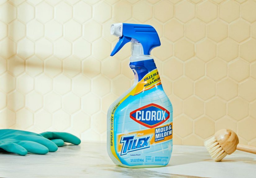 The 5 Best Mold Removers You Can Buy Online