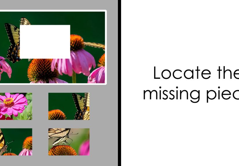 “Which Piece Fits Here?”: 15 Images And You Have To Find The Missing Piece In Each Of Them
