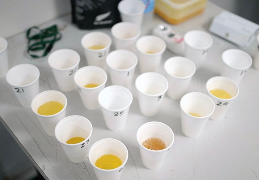 10-panel drug test: Which drugs, timeframes, and results