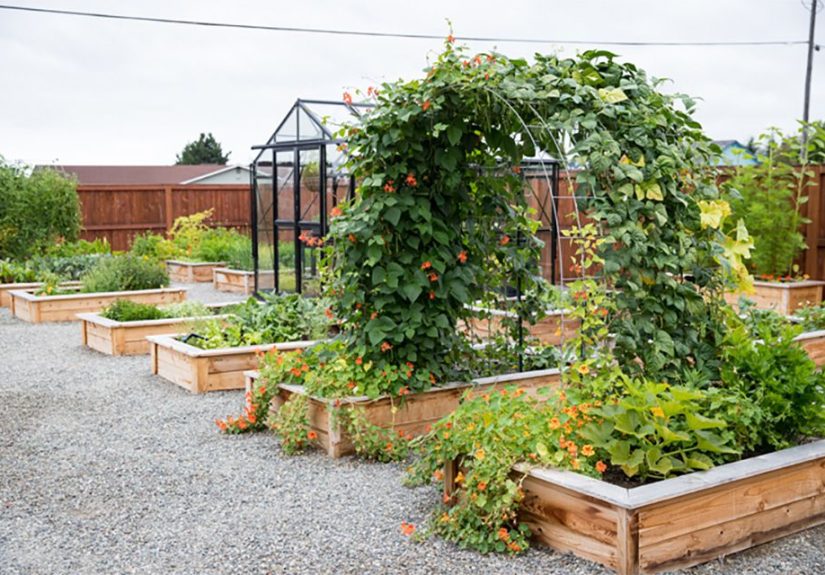 13 Charming Garden Arch Ideas You Can Easily DIY