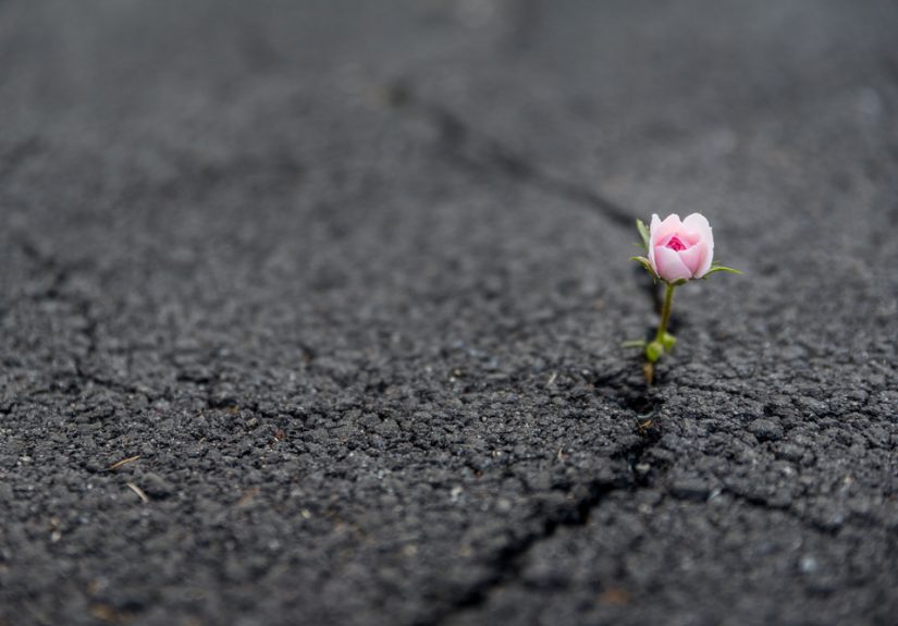 13 tips for depressed doctors who need confidential mental health care