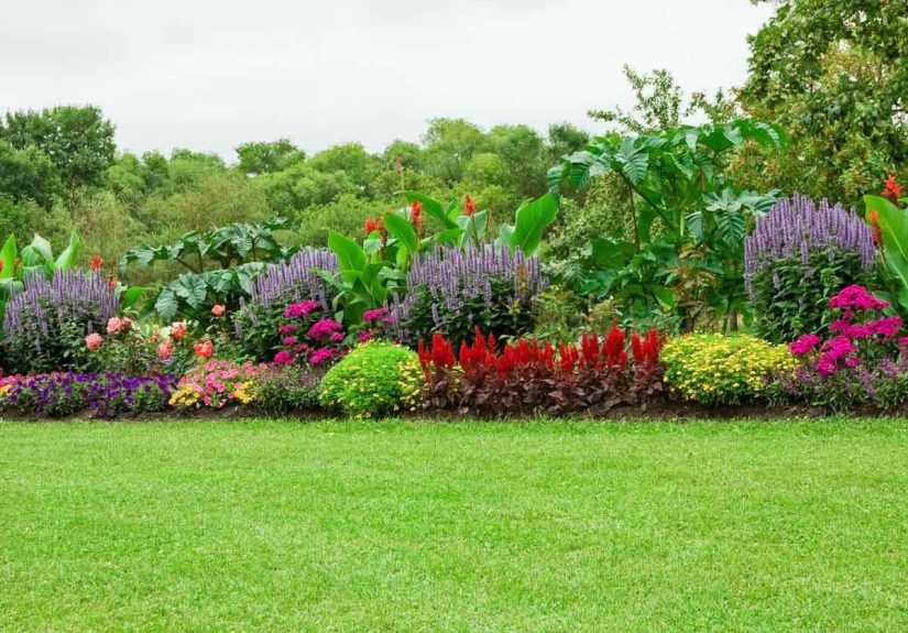 3 Landscape Edging Ideas To Keep Weeds and Grass Out Of Your Garden
