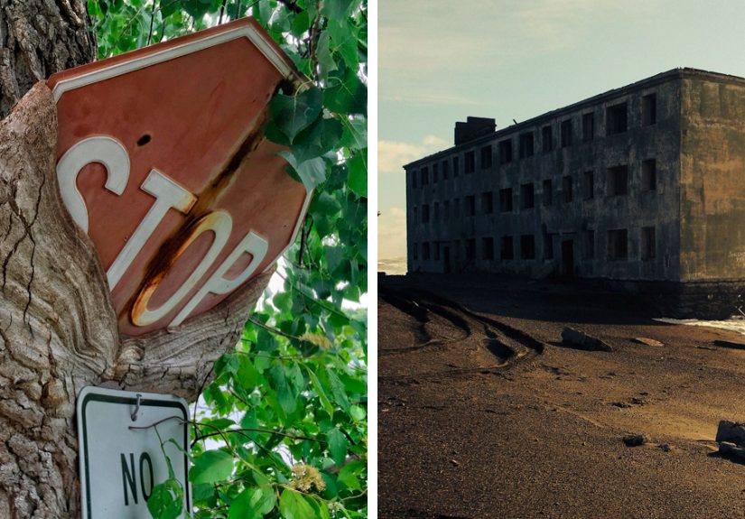 45 Times Nature Won The Battle Against Civilization
