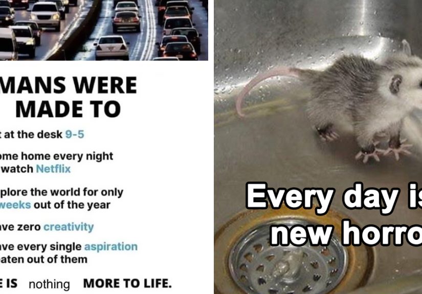 50 Memes That Turn Nothingness And Despair Into Something To Laugh About