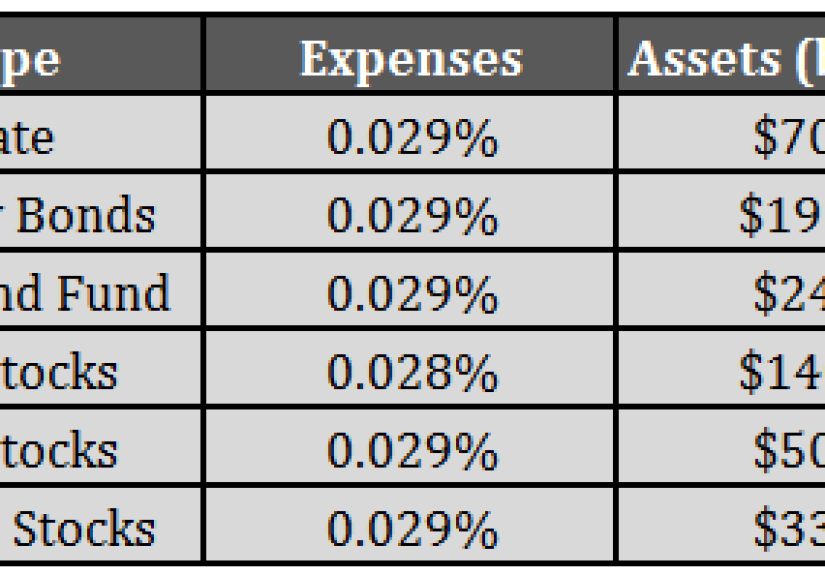 A Closer Look at the U.S. Government's Retirement Plan