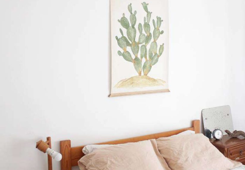 Cactus - Opuntia Jamaicensis - Plant Bonatic Illustration Wall Poster