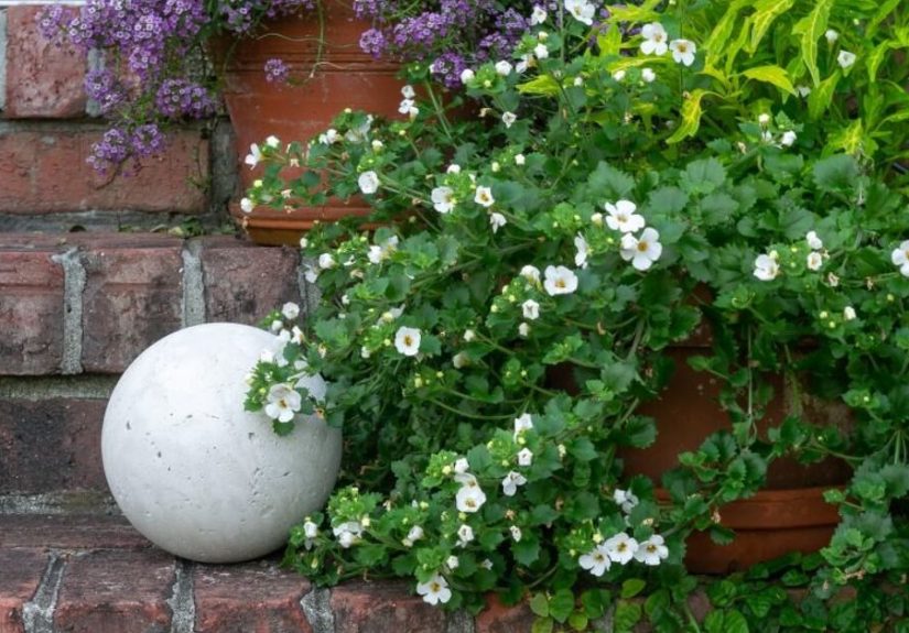 Concrete Garden Balls…an Easy DIY