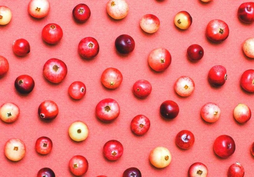 Cranberry Research Ocean Spray Funding