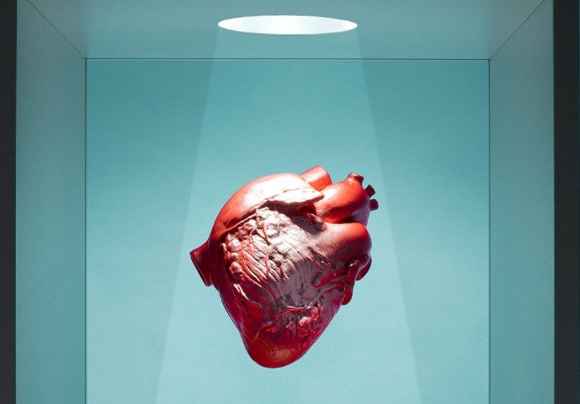 Does Semaglutide Help Your Heart?