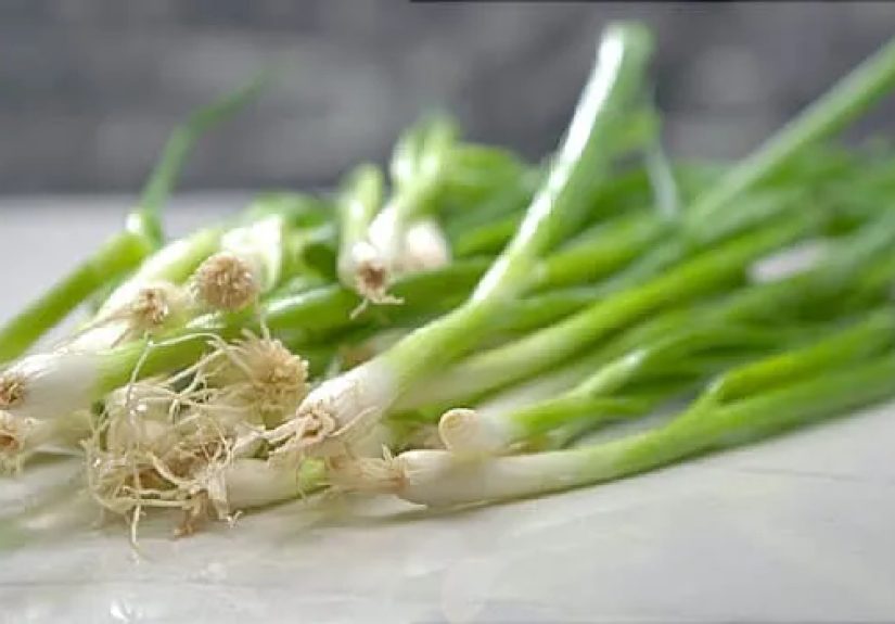Facts and Health Benefits of Scallions