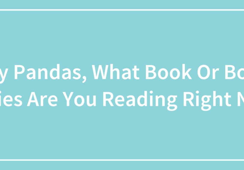 Hey Pandas, What Book Or Book Series Are You Reading Right Now?