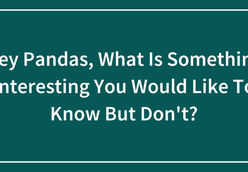 Hey Pandas, What Is Something Interesting You Would Like To Know But Don’t?