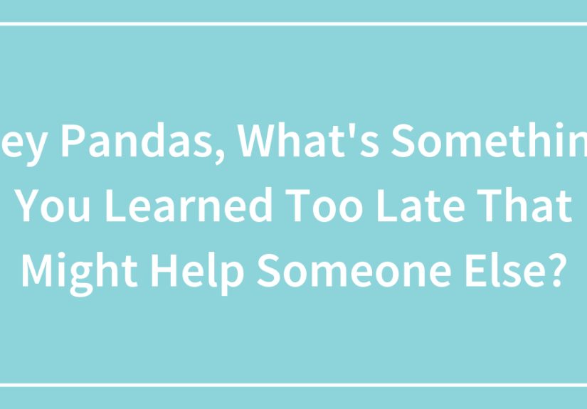 Hey Pandas, What’s Something You Learned Too Late That Might Help Someone Else?