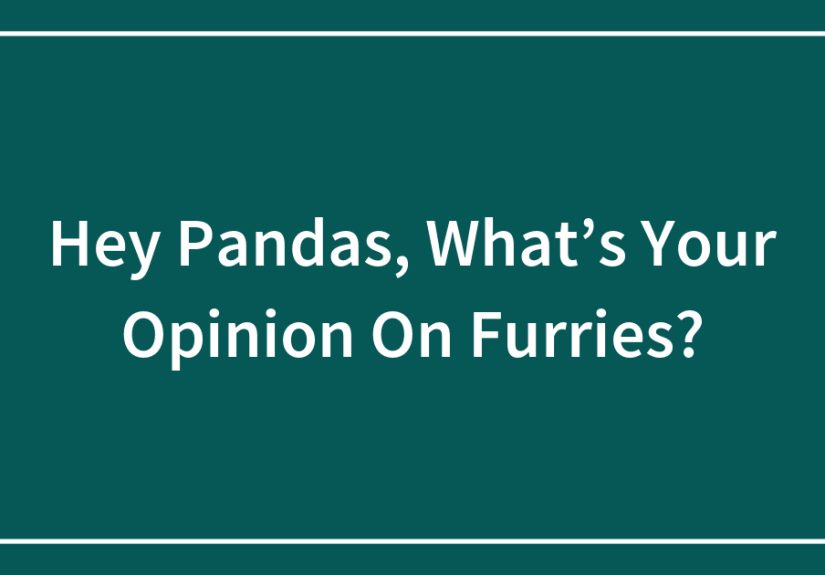 Hey Pandas, What’s Your Opinion On Furries?