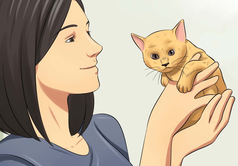 How to Care for Kittens from Birth: 10 Steps