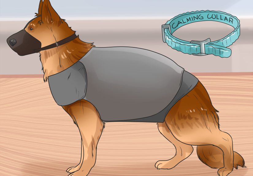 How to Groom a Dog That Bites: 12 Steps