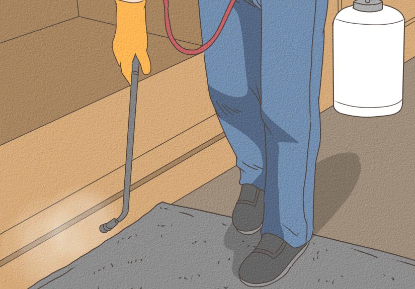 How to Kill Fleas and Ticks on Cats