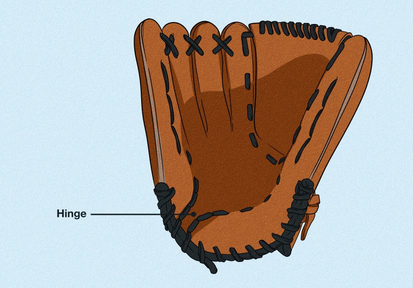 How to Measure a Baseball Glove: Fitting & Purchase Tips