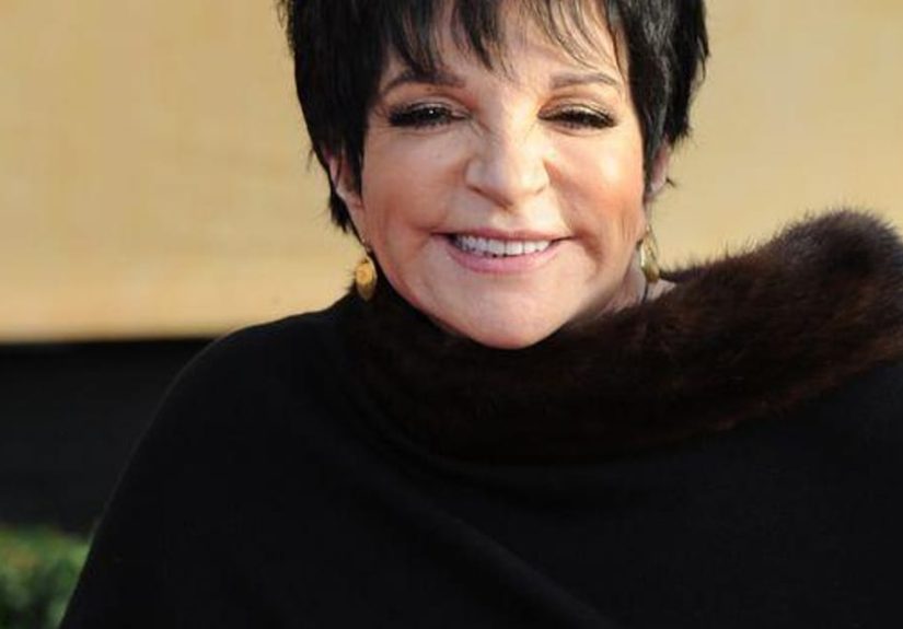 Liza Minnelli Rankings And Opinions