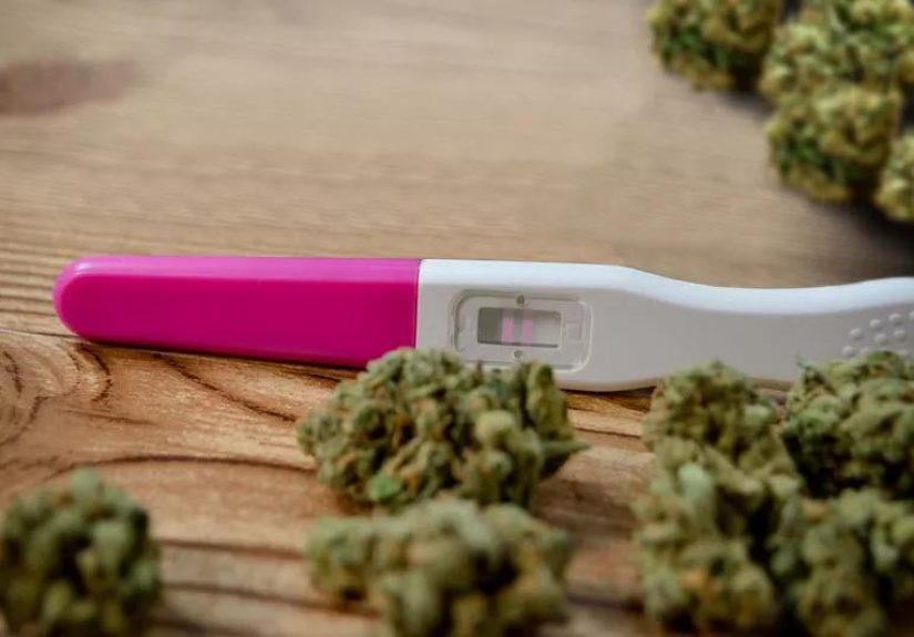Marijuana Use in Pregnancy: Why You Should Just Say No
