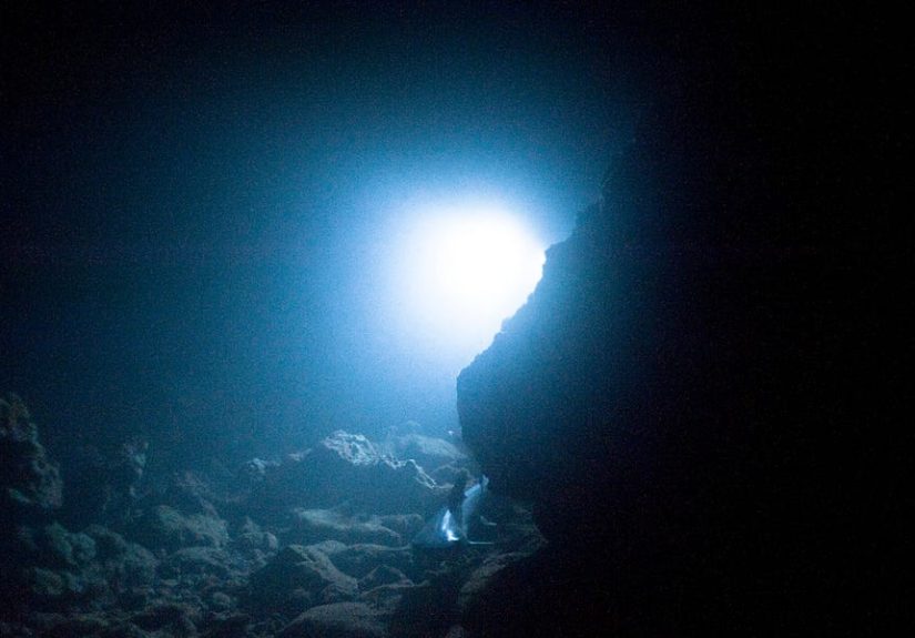 New Predator Emerges From the Deepest, Darkest Part of the Ocean