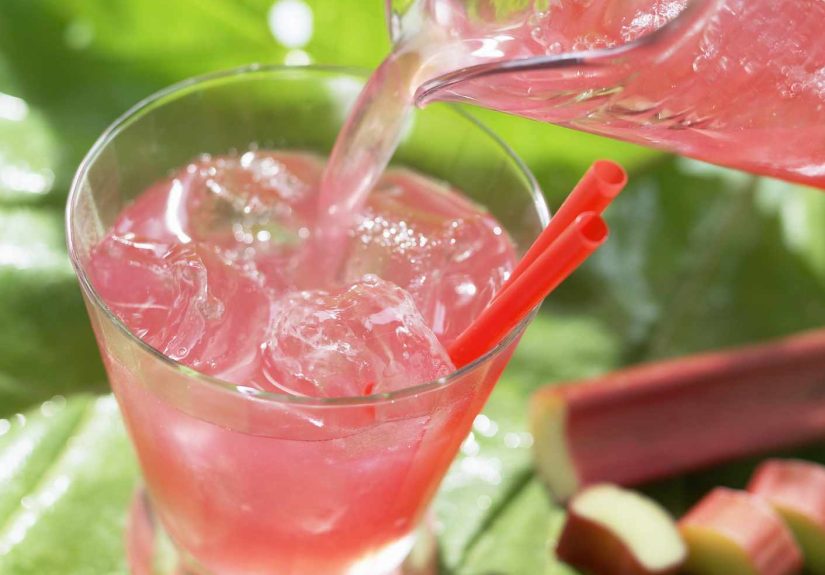 Polish Rhubarb Honey Drink Recipe