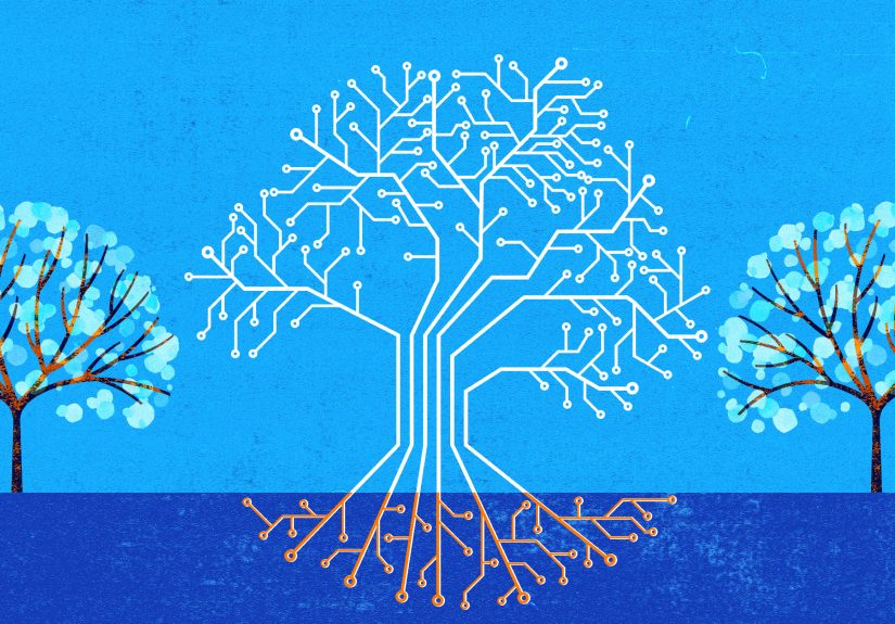 Teaching the Environmental Impact of AI Through PBL