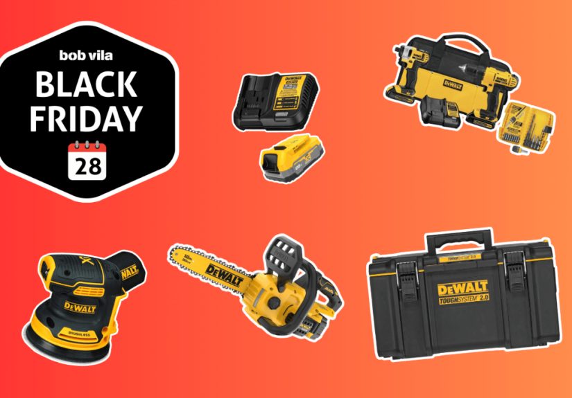 The Best DeWalt Deals at Ace's Early Black Friday Sale