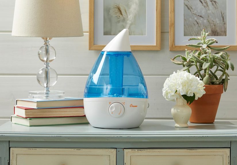 Types of Humidifiers: How to Pick the Right One for Your Home