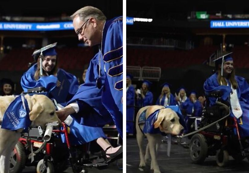 Video Showing A Service Dog Receiving A Diploma Alongside Owner With Disability Wins The Internet’s Hearts