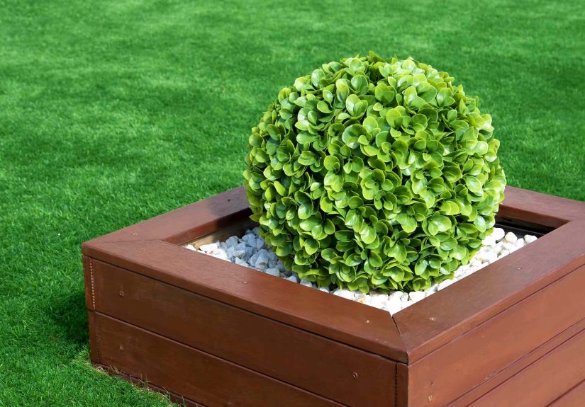 Wait, Can You Plant Faux Plants in Your Yard? We Asked Gardeners
