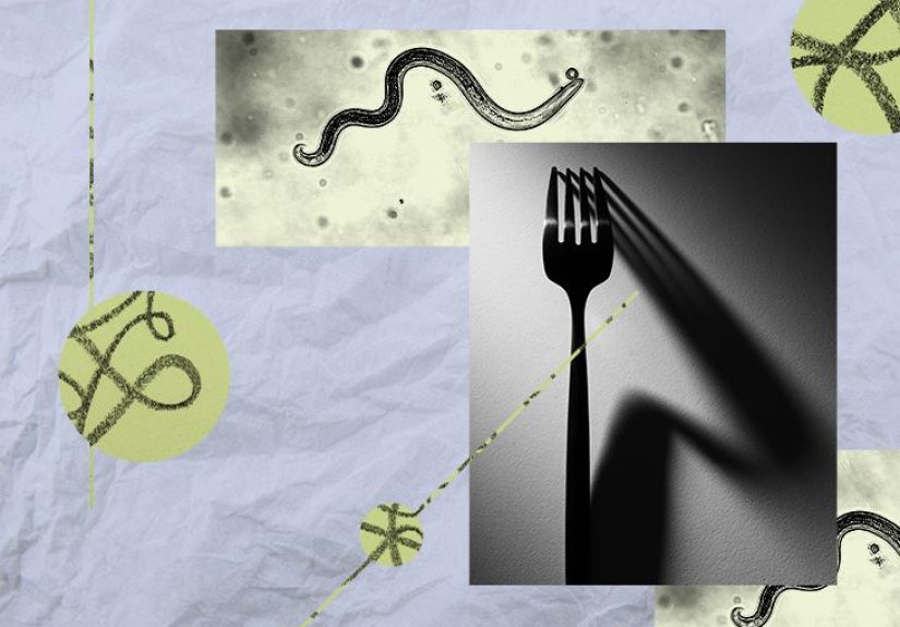 What Is a Parasite Cleanse, and Does It Work?
