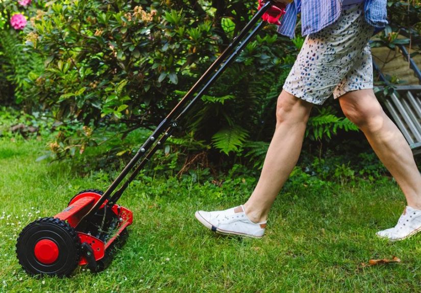 When Should You Start Mowing Your Lawn in the Spring?