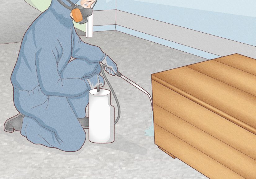 11 Ways to Get Rid of Mice and Rats