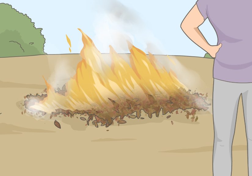 3 Easy Ways to Dispose of Leaves and Branches
