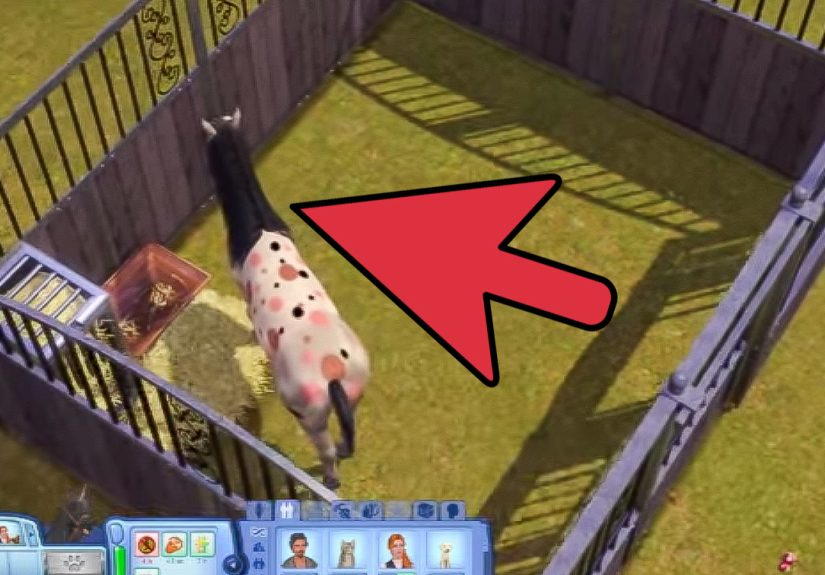 3 Ways to Adopt a Unicorn on The Sims 3 Pets (PC)