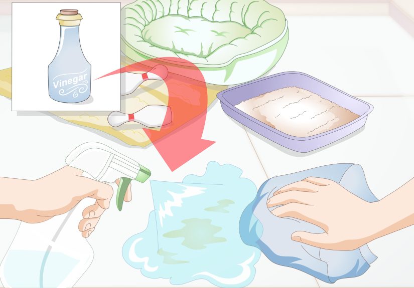 3 Ways to Keep a Rabbit Clean