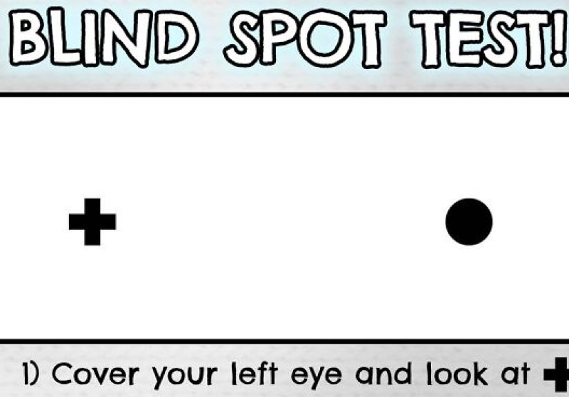 30 Beautifully Illustrated Facts That Show How Incredible Our World Is