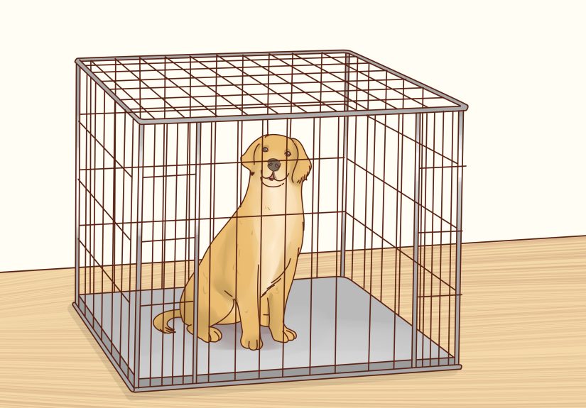 4 Ways to Keep Pets off the Furniture