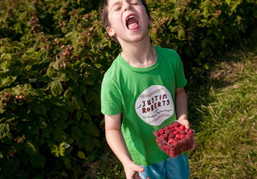 #534 Catching Food in Your Mouth - 1000 Awesome Things